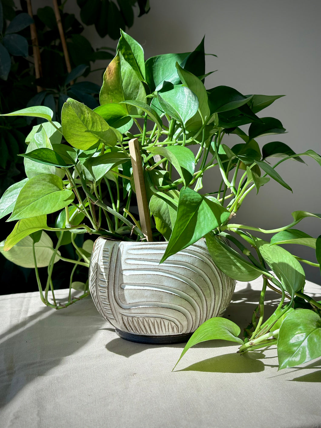 Hand carved charcoal and white planter